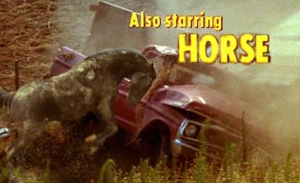 Horse CHiPs