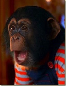 monkey