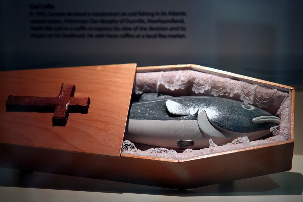 casket photo