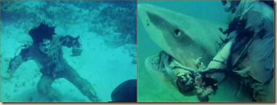 zombie vs shark